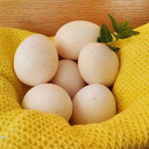 Natural Goat Cream Cheese